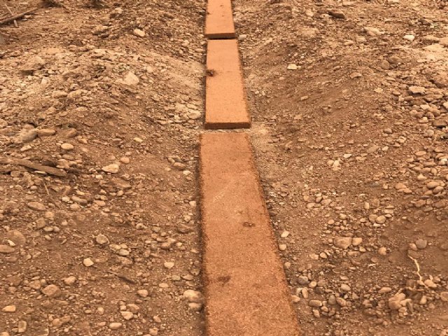 Projar desarrolla distintas mezclas de fibra de coco para mejorar las condiciones del suelo en cultivos hortícolas - 1, Foto 1