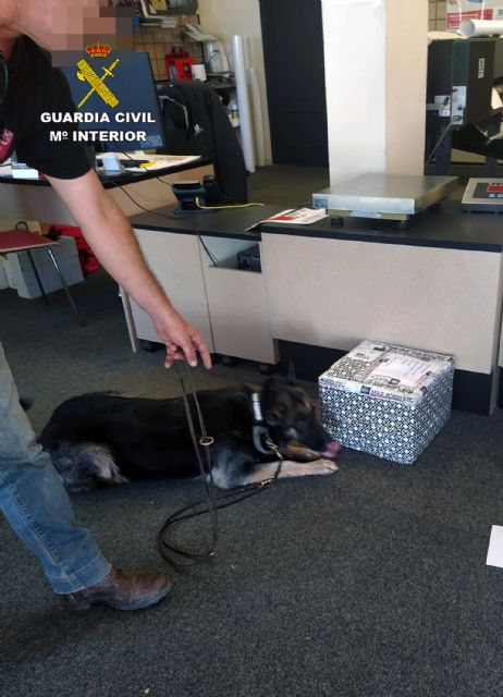 La Guardia Civil desmantela una ruta de exportación de drogas al Reino Unido - 1, Foto 1