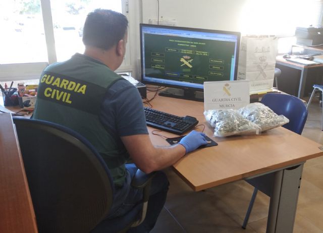 La Guardia Civil desmantela una ruta de exportación de drogas al Reino Unido - 3, Foto 3