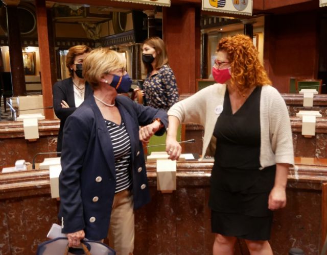 Maruja Pelegrín: Vamos a mejorar la incompleta Ley del PSOE para que responda a las necesidades de las familias monoparentales - 1, Foto 1