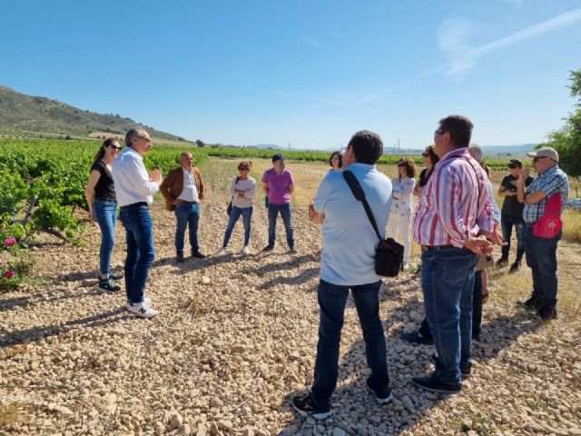 Intercambio de experiencias entre establecimientos turísticos de las rutas del vino de Yecla y Bullas - 1, Foto 1