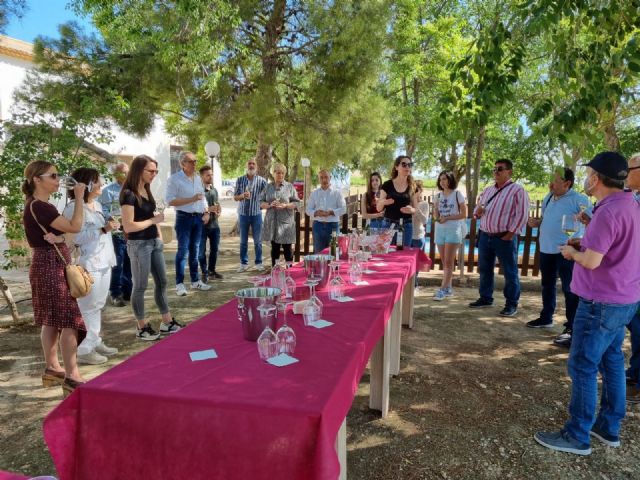 Intercambio de experiencias entre establecimientos turísticos de las rutas del vino de Yecla y Bullas - 3, Foto 3