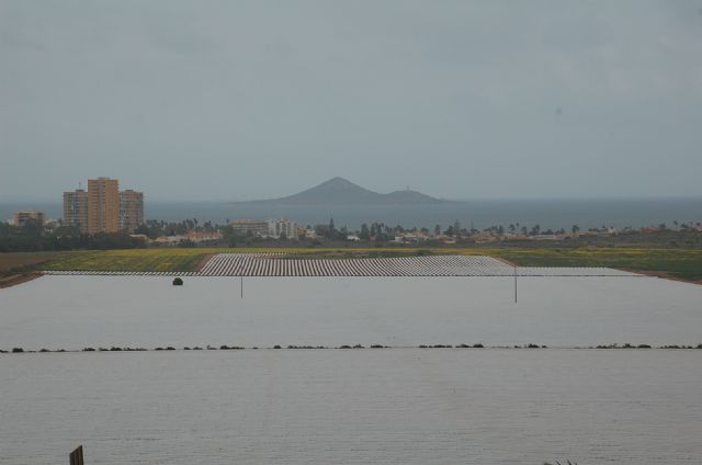 El sello “Agricultura Sostenible Verificada”: Una chapucera operación de Greenwashing de la CARM - 2, Foto 2