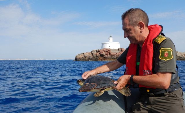 Liberan una tortuga boba junto a las Islas Hormigas tras quedar atrapada en una red - 1, Foto 1