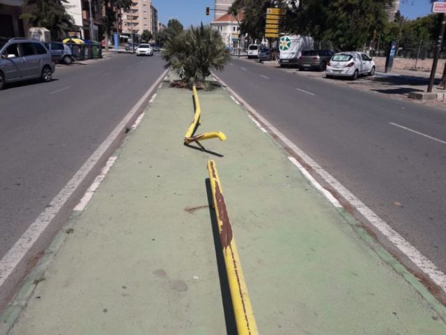 Ciudadanos lamenta que la parálisis del PSOE también se extienda al Plan de Seguridad Vial de Cartagena - 2, Foto 2