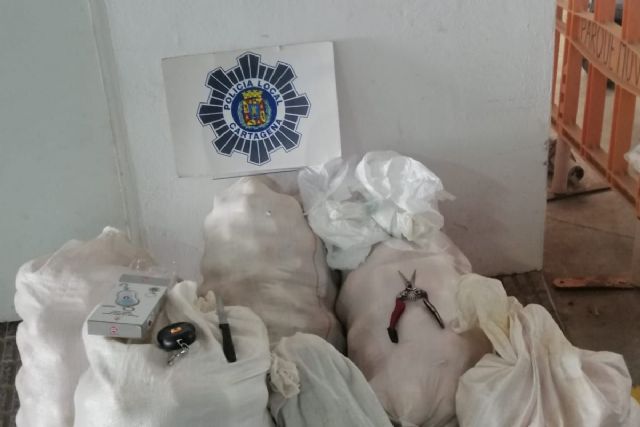 La Policía Local de Cartagena decomisa en el mercadillo de Cabo de Palos 160 kilos de cítricos - 1, Foto 1