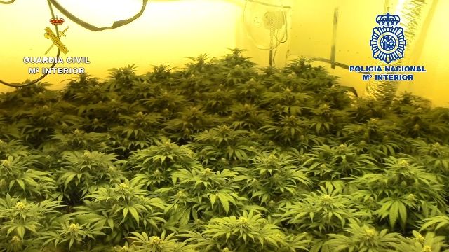 Desarticulada una organización delictiva dedicada al tráfico de hachís entre Melilla y la península - 2, Foto 2