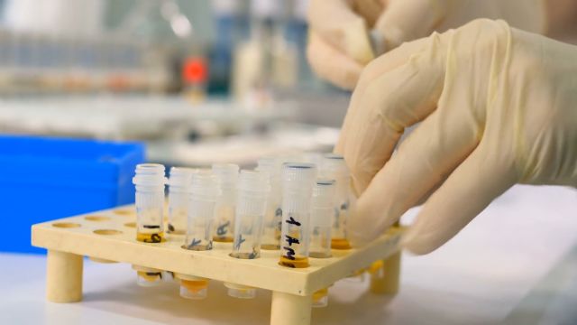 La COVID-19 obliga a incrementar los esfuerzos para luchar contra la epidemia de los residuos plásticos - 1, Foto 1