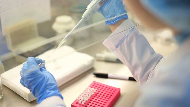 La COVID-19 obliga a incrementar los esfuerzos para luchar contra la epidemia de los residuos plásticos - 3, Foto 3