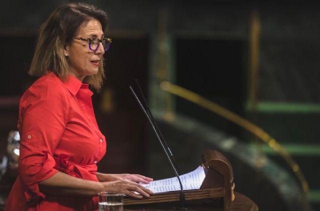 Borrego: La bajada del IVA al sector turístico es una condición prioritaria marcada por el PP en la Comisión de Reconstrucción en el Congreso - 1, Foto 1