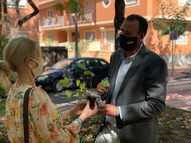 El Plan Hiedra tapizará 30.000 metros cuadrados del municipio - 2, Foto 2