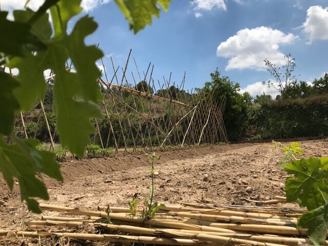 Ayuntamiento y Agroeconatura 2020 colaboran para la formacin sobre recursos naturales y agricultura sostenible, Foto 1