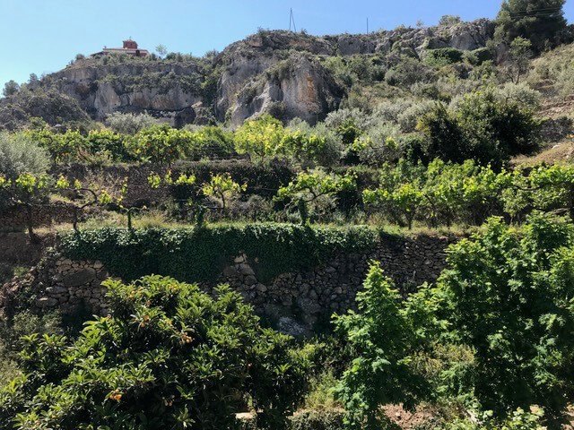 Ayuntamiento y Agroeconatura 2020 colaboran para la formacin sobre recursos naturales y agricultura sostenible, Foto 2