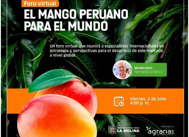 EL MANGO PERUANO PARA EL MUNDO: Un foro virtual que aborda la realidad internacional y las perspectivas de crecimiento de esta fruta de moda - 1, Foto 1