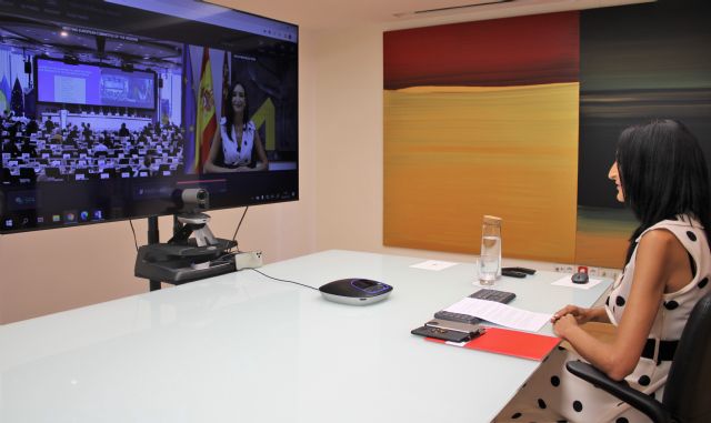 Miguélez participa en el pleno del Comité de las Regiones en la constitución de la Alianza Europea para la Reconstrucción de Ucrania - 1, Foto 1