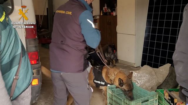 La Guardia Civil ha detenido a 26 personas, como presuntas autoras de los Delitos Contra la Salud Pública y Pertenencia a Organización Criminal - 5, Foto 5