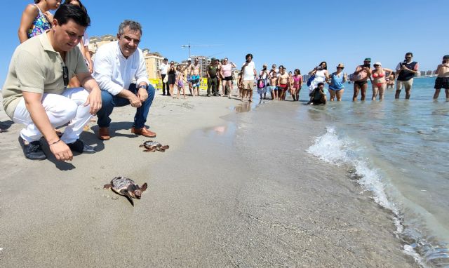 Medio Ambiente libera otros 30 ejemplares de tortuga boba en La Manga - 1, Foto 1