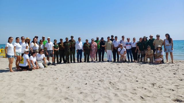 Medio Ambiente libera otros 30 ejemplares de tortuga boba en La Manga - 2, Foto 2