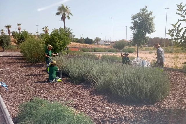 Un programa experiencial de jardinería desarrolla sus trabajos en el Parque de la Antena - 2, Foto 2