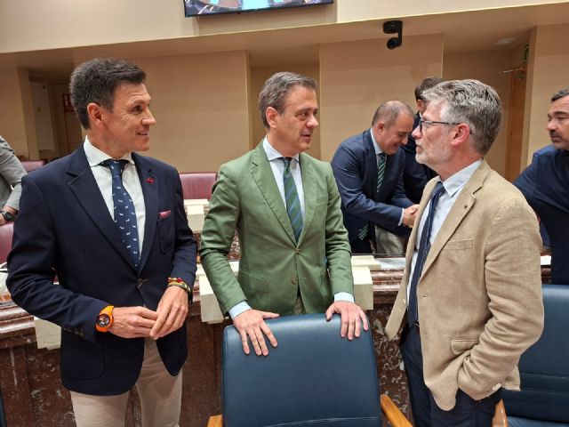 El PP remarca que los Presupuestos reflejan el empeño de López Miras por apoyar a los municipios y reforzar la protección y seguridad de las personas - 1, Foto 1