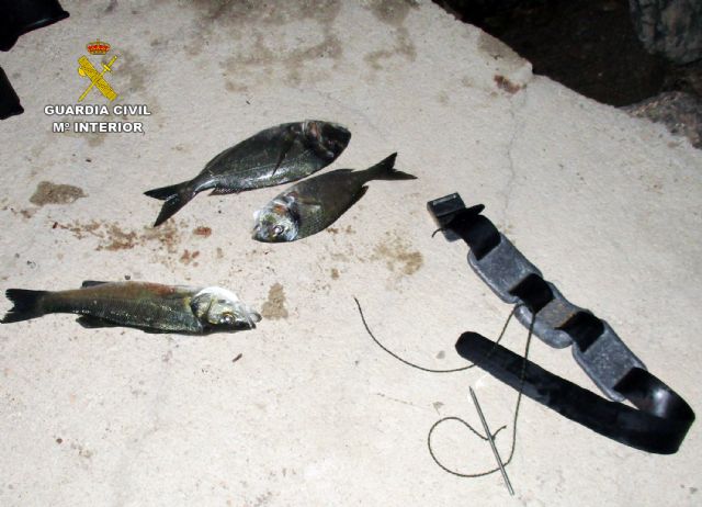 La Guardia Civil sorprende a un buceador practicando la pesca submarina clandestina en La Manga - 4, Foto 4