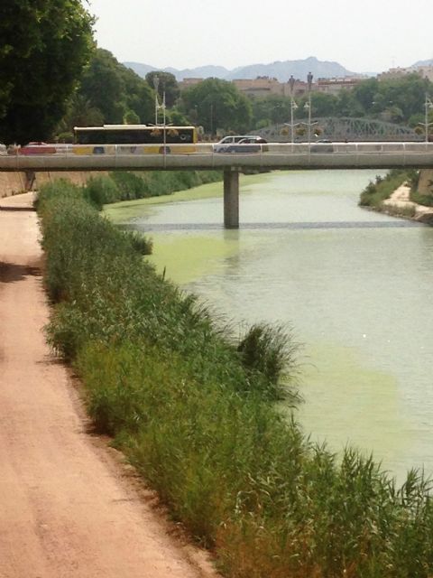 El PSOE exige al PP que se interese por el color verdoso que muestra el río y que no se conforme con la explicación del calor - 2, Foto 2