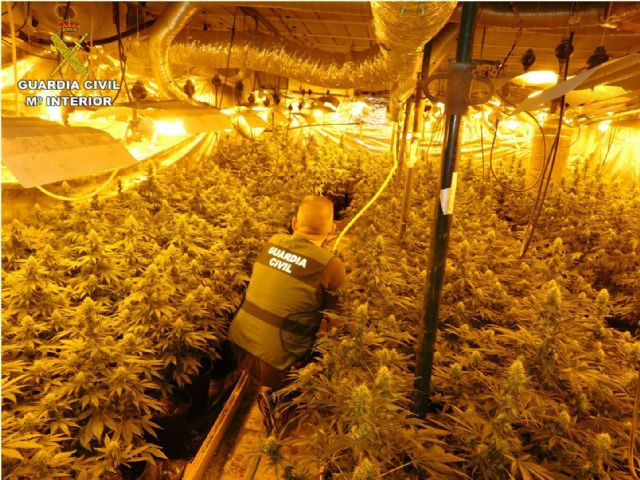 La Guardia Civil desarticula una red criminal, asentada en Alicante y Murcia, dedicada al cultivo y tráfico de marihuana - 1, Foto 1
