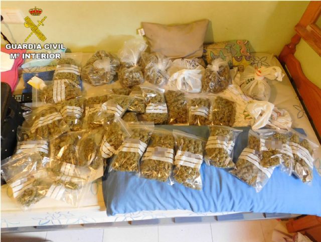 La Guardia Civil desarticula una red criminal, asentada en Alicante y Murcia, dedicada al cultivo y tráfico de marihuana - 2, Foto 2