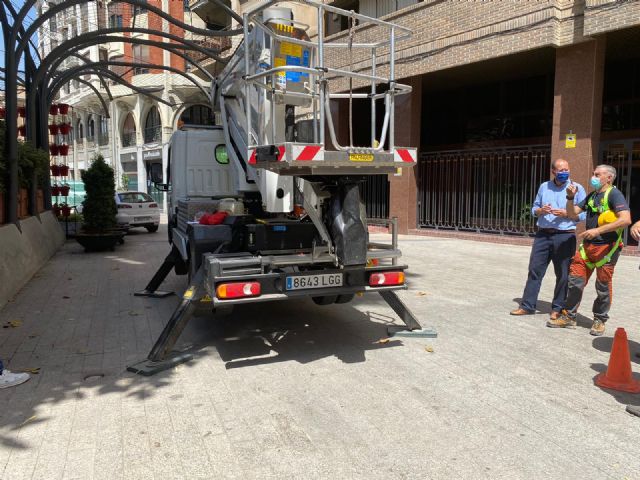 El prestigioso experto arbolista, Gerard Passola, revisa el ficus de Santo Domingo para garantizar su correcto cuidado y recuperación - 2, Foto 2