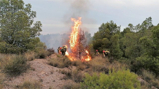 Operativo del Infomur controla un conato de incendio forestal en la Sierra de la Peñarrubia (Lorca) - 1, Foto 1