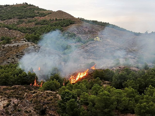 Operativo del Infomur controla un conato de incendio forestal en la Sierra de la Peñarrubia (Lorca) - 2, Foto 2