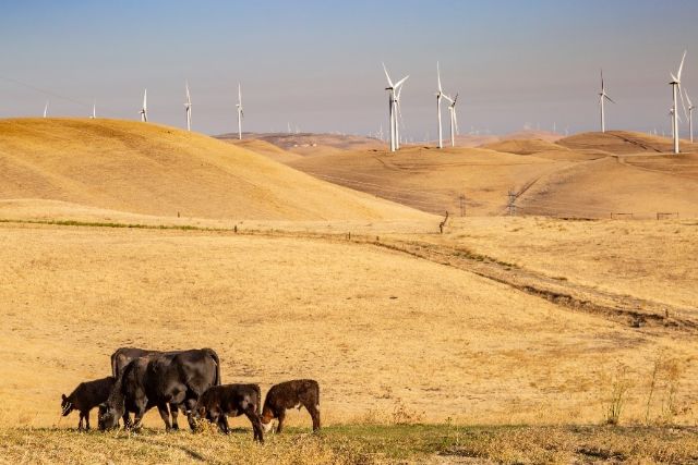 Expertos del sector ganadero ponen en valor el trabajo en las granjas para garantizar el bienestar animal en un verano muy cálido - 1, Foto 1