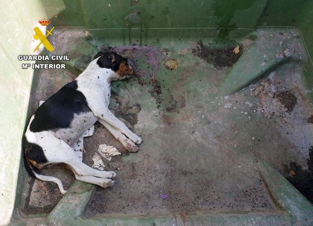 La Guardia Civil investiga a una vecina de Mazarrn por maltrato animal, Foto 1