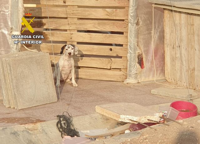 La Guardia Civil investiga a una vecina de Mazarrn por maltrato animal, Foto 2