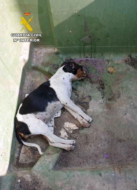 La Guardia Civil investiga a una vecina de Mazarrn por maltrato animal, Foto 4