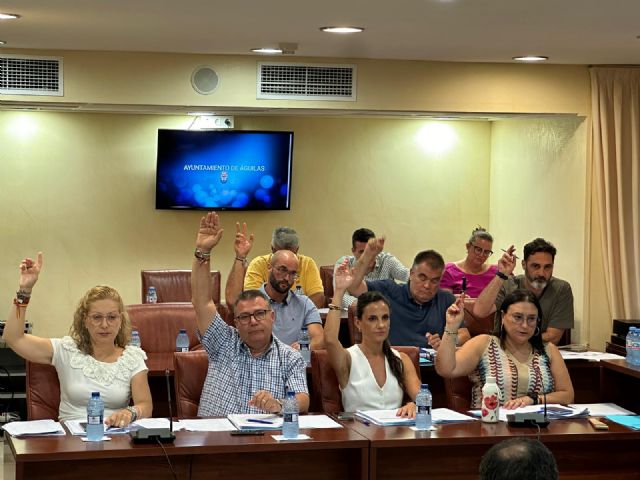 El PP logra que se estudie la bonificación de tasas municipales a los establecimientos aislados por las obras del centro - 1, Foto 1