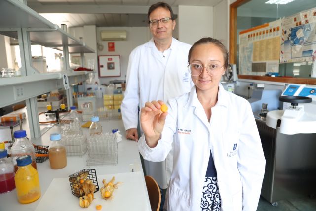 Una investigadora colombiana testa en la UPCT un alimento funcional de uchuva para pacientes oncológicos - 1, Foto 1
