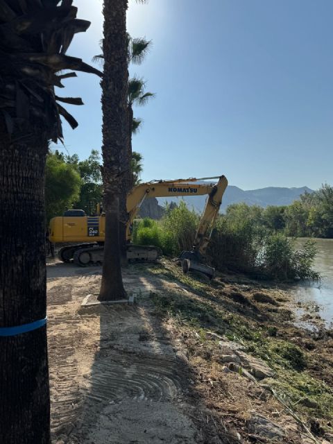 El Ayuntamiento de Blanca realiza actuaciones de desbroce y limpieza en el río Segura a su paso por el Parque de la Cuevas - 1, Foto 1