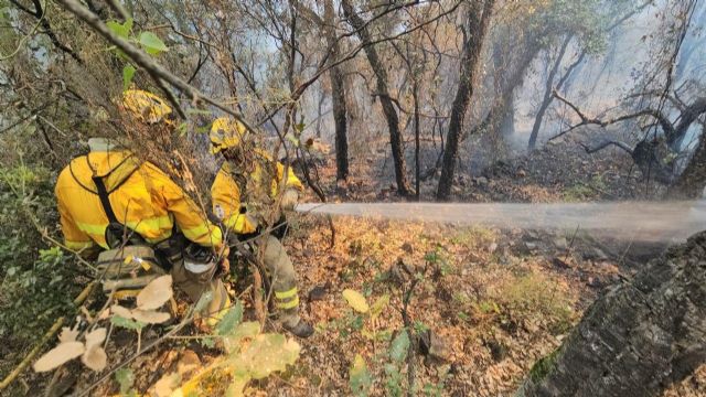Regresa a la Regi�n el dispositivo del Plan Infomur que ha colaborado en la extinci�n del incendio de la Vall D�Uix�