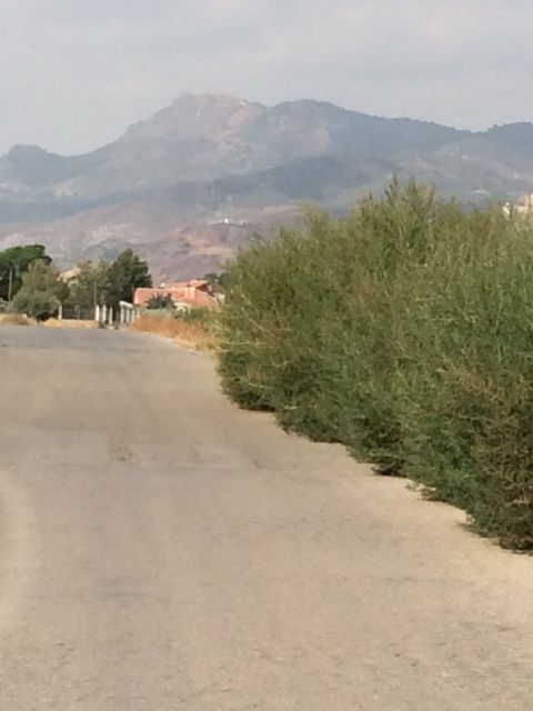 El PSOE propone la limpieza y mantenimiento de las márgenes de los caminos rurales a través de Brigadas de Mantenimiento - 1, Foto 1