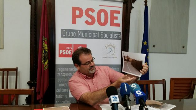 El PSOE propone la limpieza y mantenimiento de las márgenes de los caminos rurales a través de Brigadas de Mantenimiento - 2, Foto 2