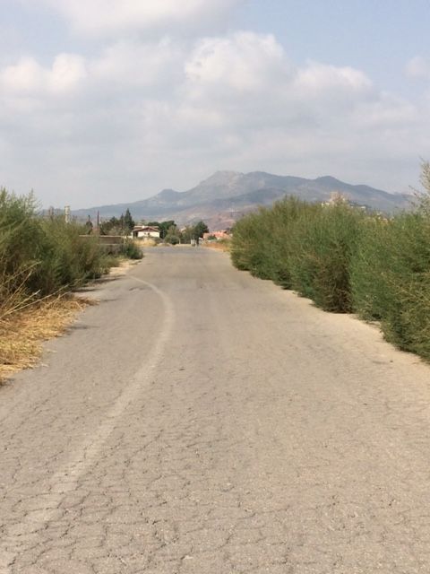 El PSOE propone la limpieza y mantenimiento de las márgenes de los caminos rurales a través de Brigadas de Mantenimiento - 5, Foto 5