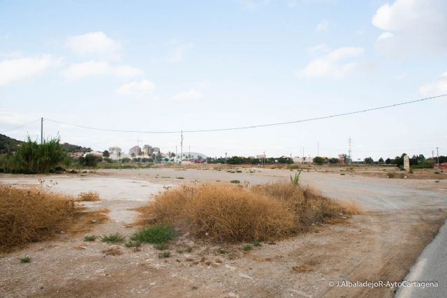 Más iluminación y contenedores en la Zona Joven de Cartagineses y Romanos - 3, Foto 3