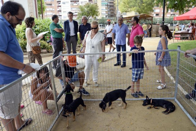 Los animales y las tradiciones de la Huerta se trasladan a los jardines de Teniente Flomesta - 4, Foto 4