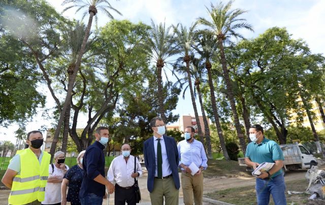 El histórico Palmeral de la Paz se abre a la ciudad como un enclave de alto valor paisajístico para el ocio familiar - 2, Foto 2