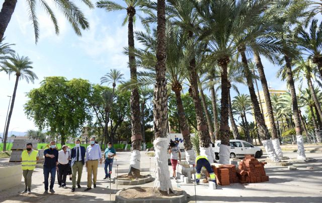 El histórico Palmeral de la Paz se abre a la ciudad como un enclave de alto valor paisajístico para el ocio familiar - 3, Foto 3