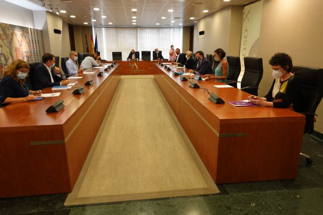 El segundo año de la X Legislatura de la Asamblea Regional se extenderá hasta el 30 de junio de 2021 - 2, Foto 2