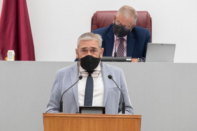 El Grupo Parlamentario liberal pide la implicación de todas las administraciones en un consenso al margen de diferencias políticas por la recuperación del Mar Menor - 1, Foto 1