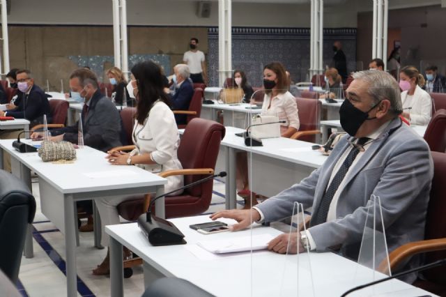 El Grupo Parlamentario liberal pide la implicación de todas las administraciones en un consenso al margen de diferencias políticas por la recuperación del Mar Menor - 2, Foto 2