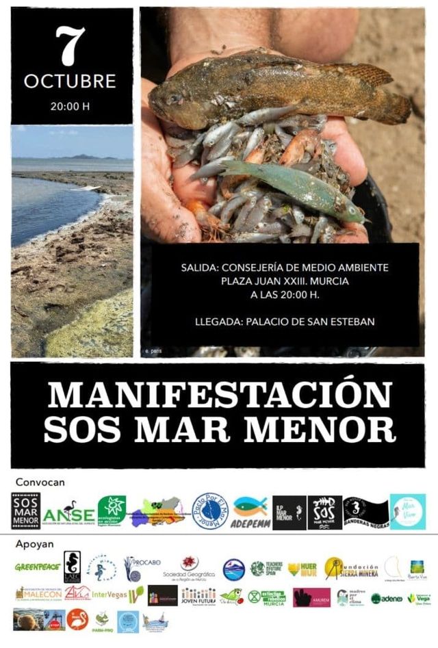 Convocan una manifestación por el Mar Menor en Murcia - 2, Foto 2